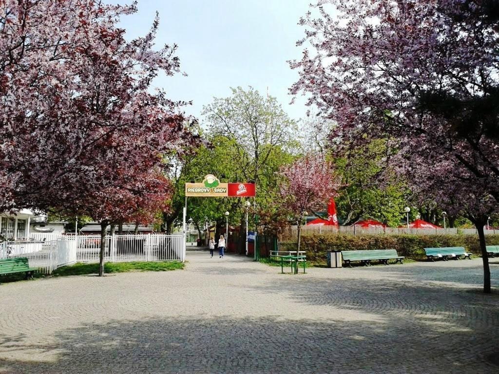 Modern Apartment Riegrovy Sady Прага Екстериор снимка